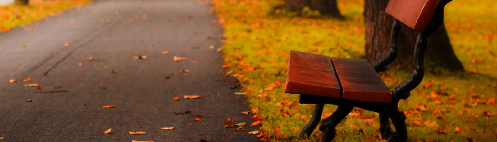 首頁幻燈大圖一